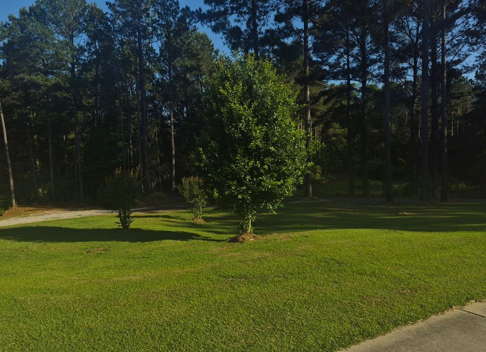 property-image-3