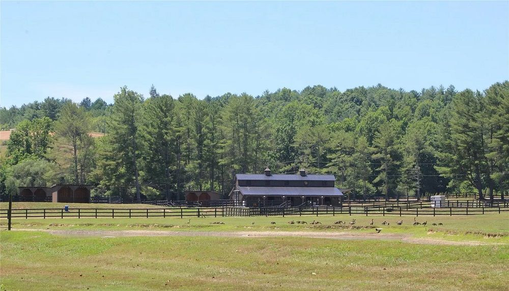 property-image-6