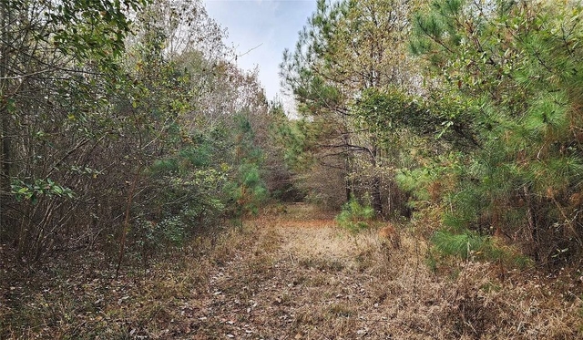 property-image-3