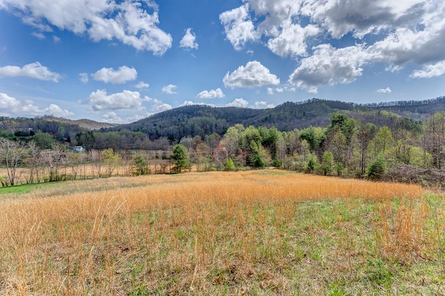 property-image-3