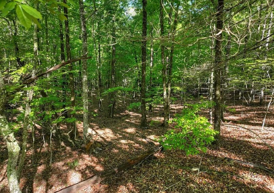 property-image-5
