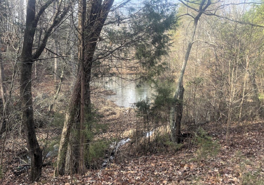 Acreage With Pond In Davidson