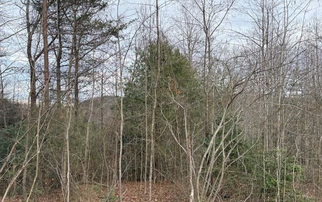 property-image-5