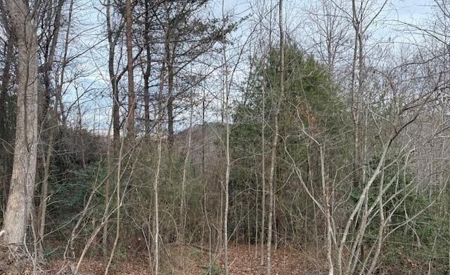 property-image-6