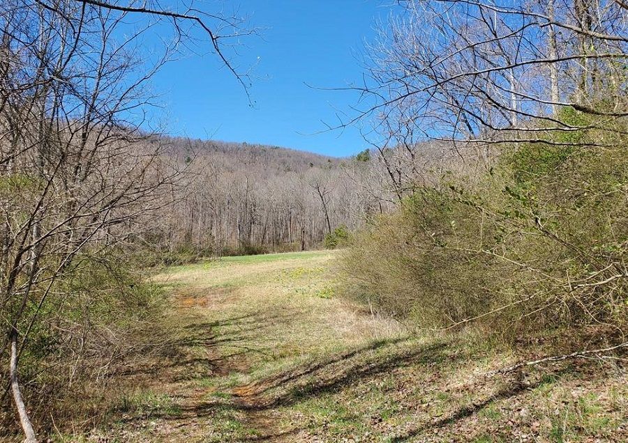 205+/- Acres • Alexander CO.