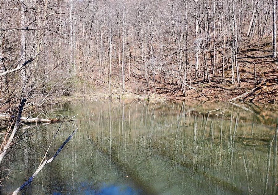property-image-4