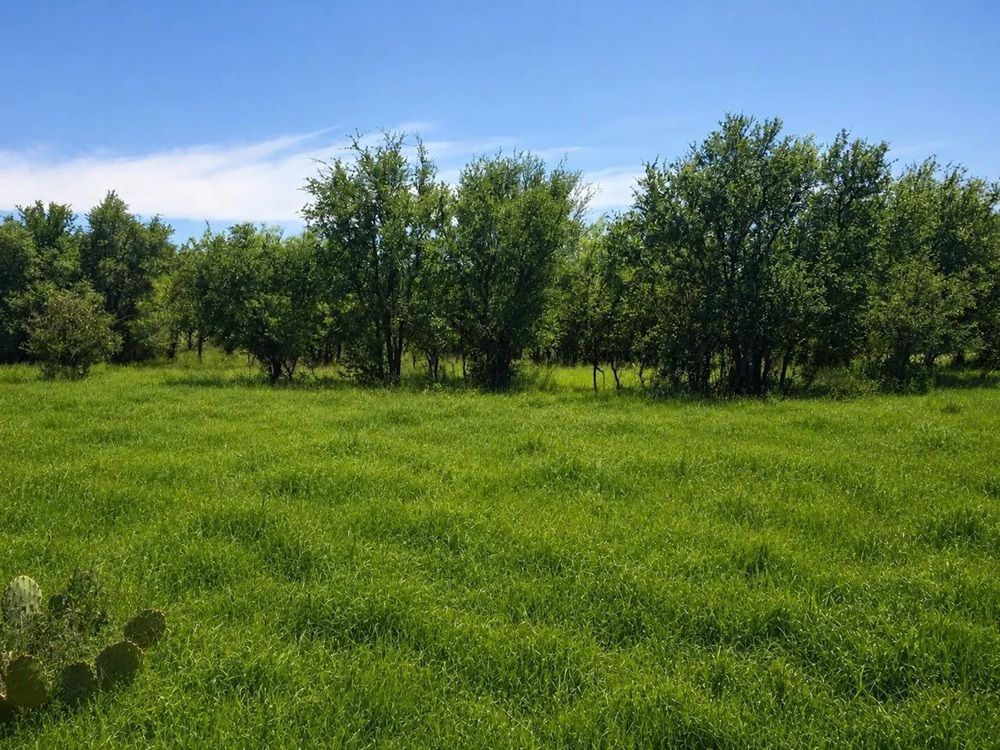property-image-4