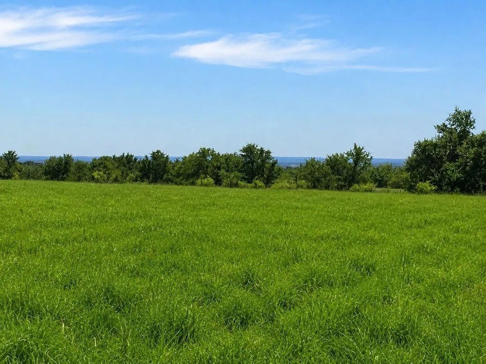 property-image-6