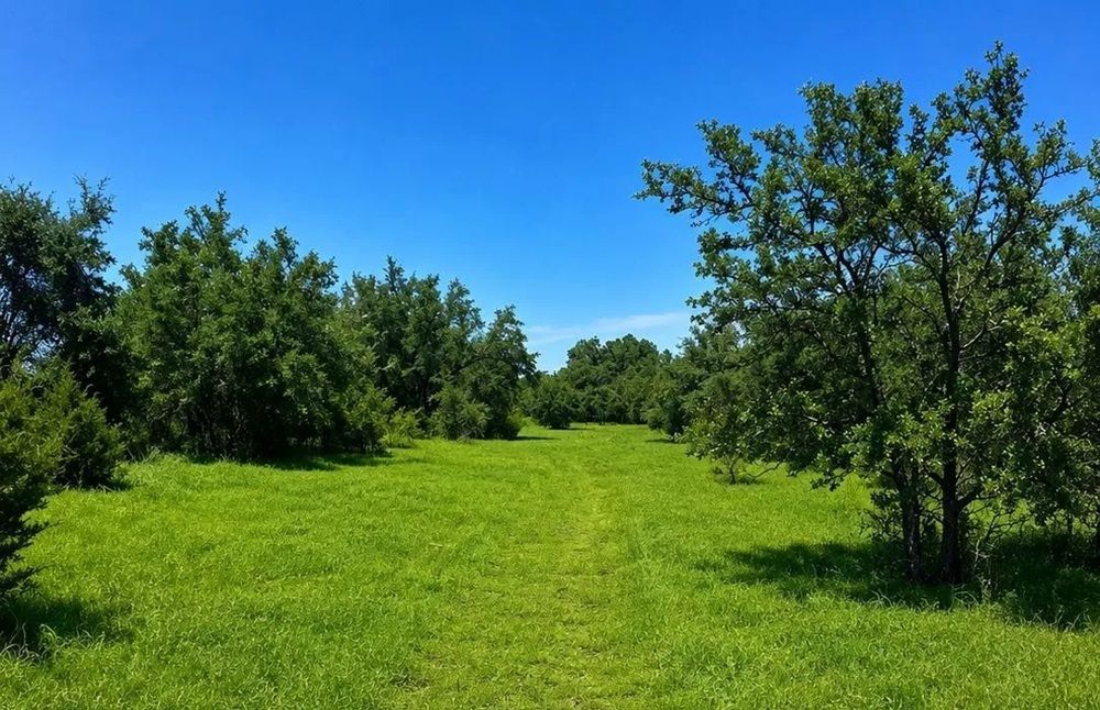property-image-7