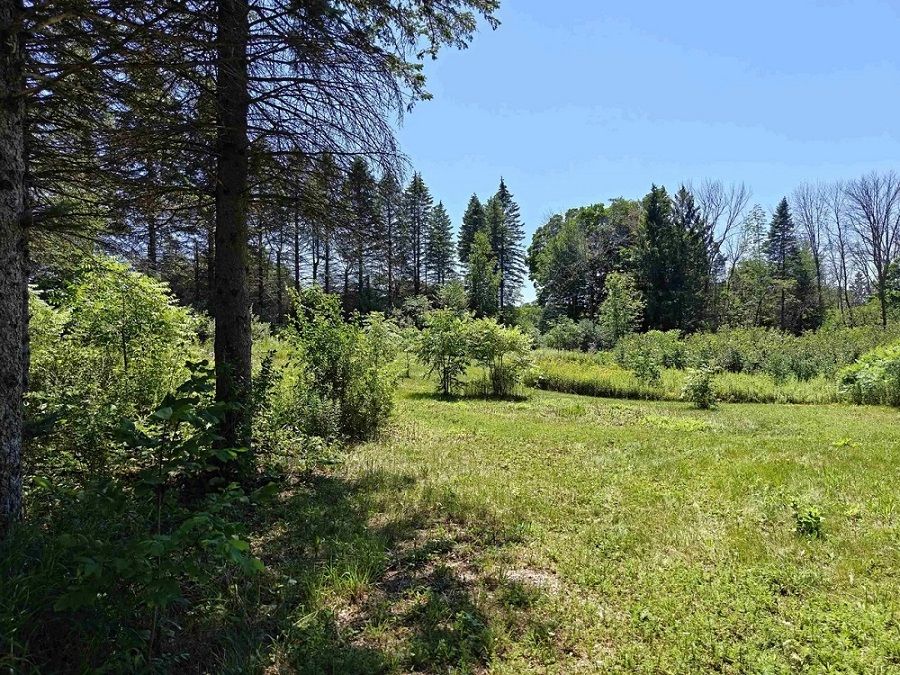 Waterfront Lot In The Country Is Calling