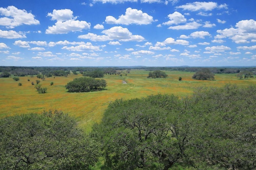 property-image-4