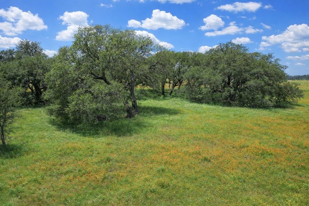property-image-5