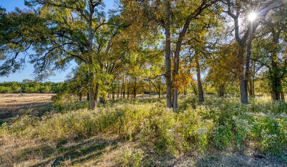 property-image-3