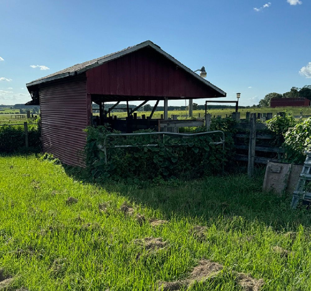 property-image-6