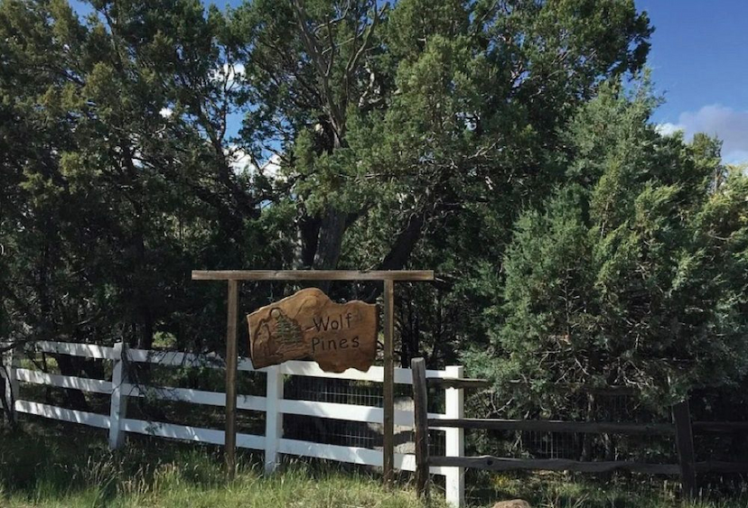 Pristine Wooded Property • Pinetop-Lakeside, Arizona