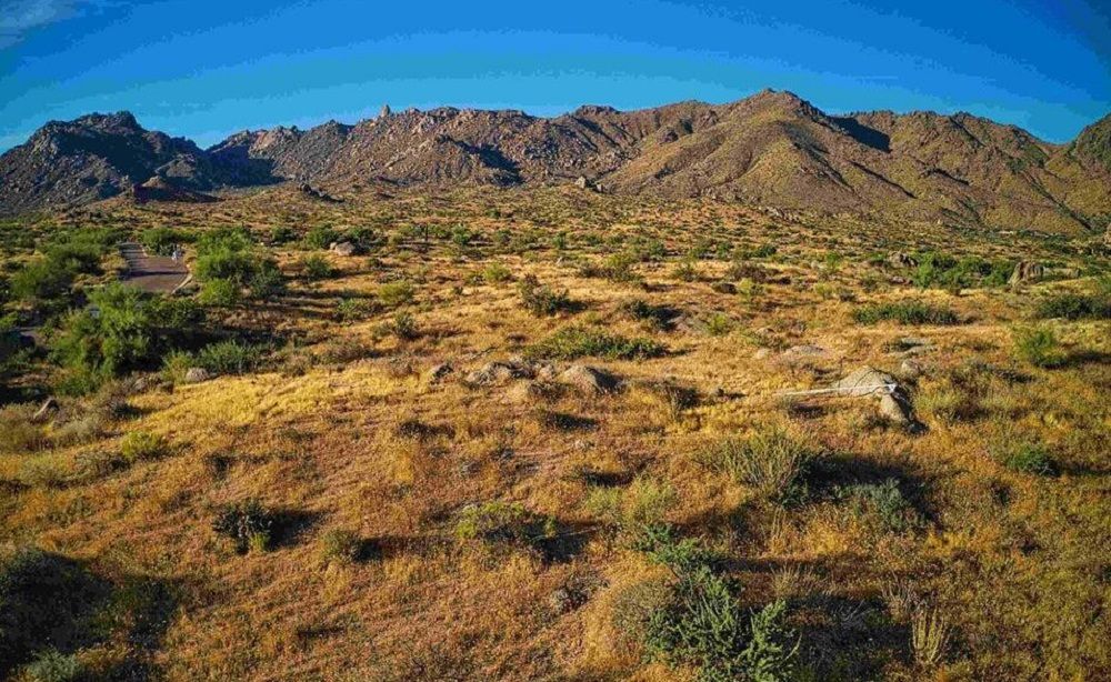 Rare Custom Lot In Sereno Canyon