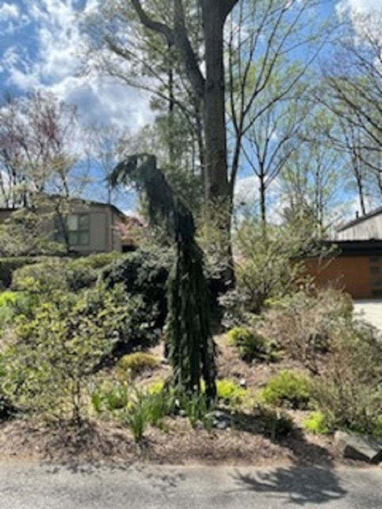 property-image-6