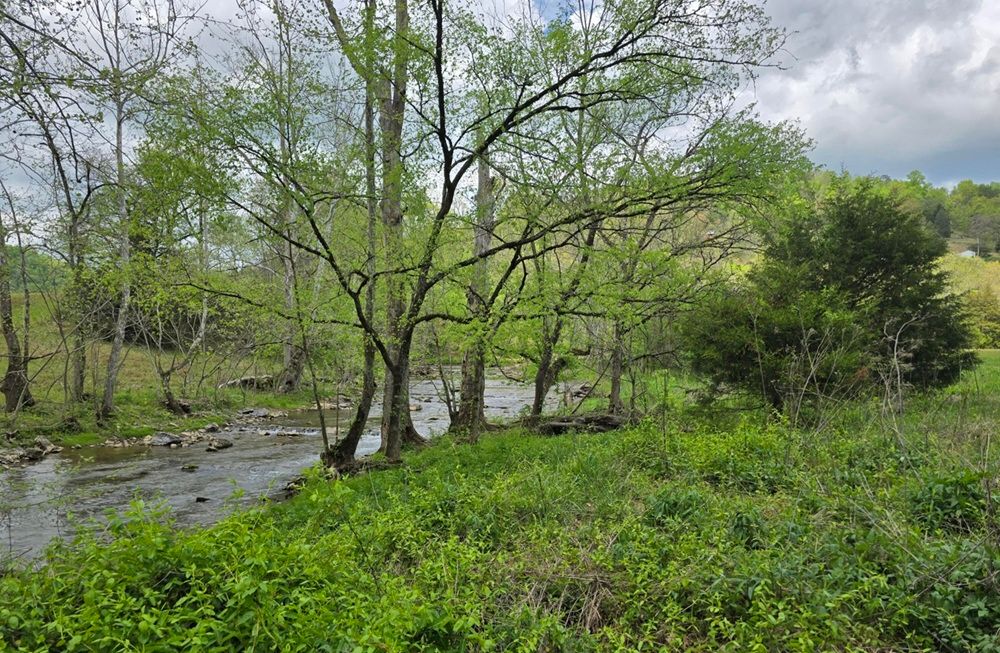 property-image-3