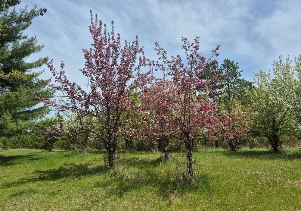 property-image-5