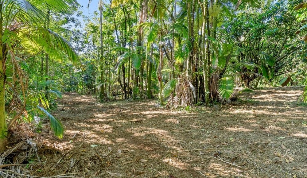 property-image-5