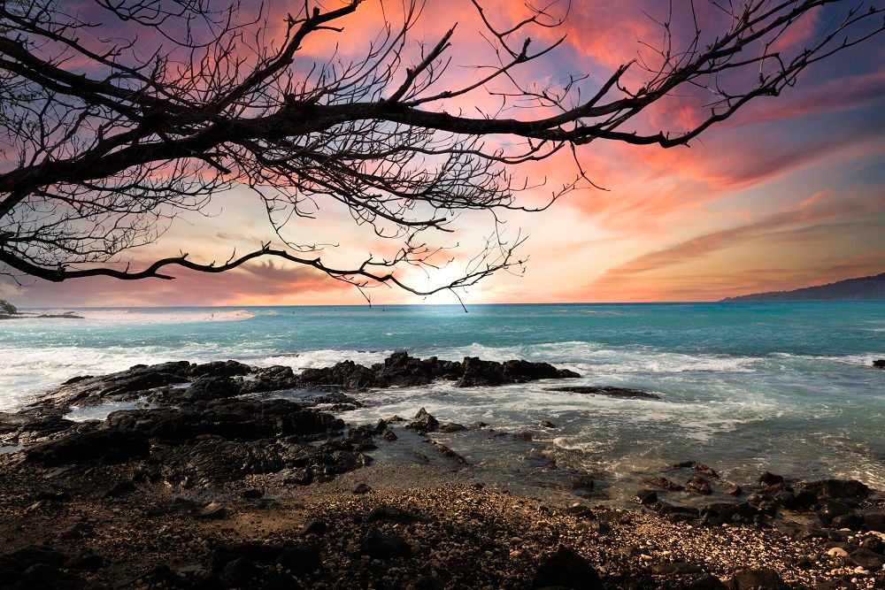 Where Surf Meets Serenity