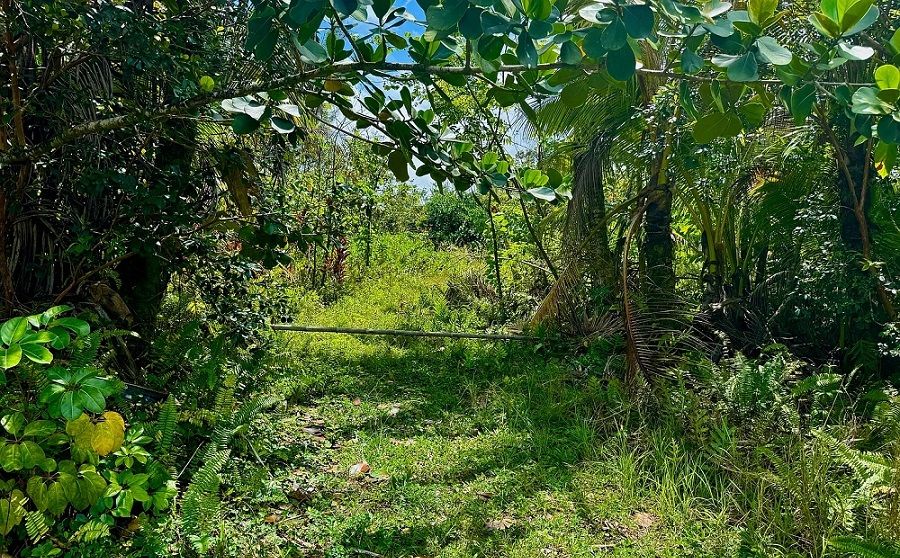 property-image-3