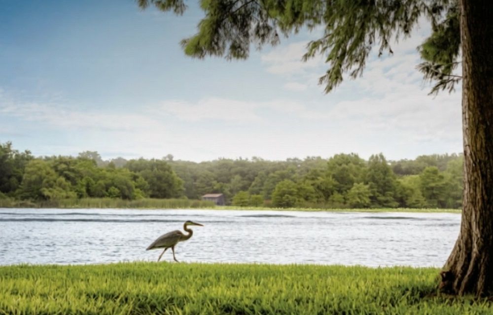 Serene Waterfront. Centrally Located.