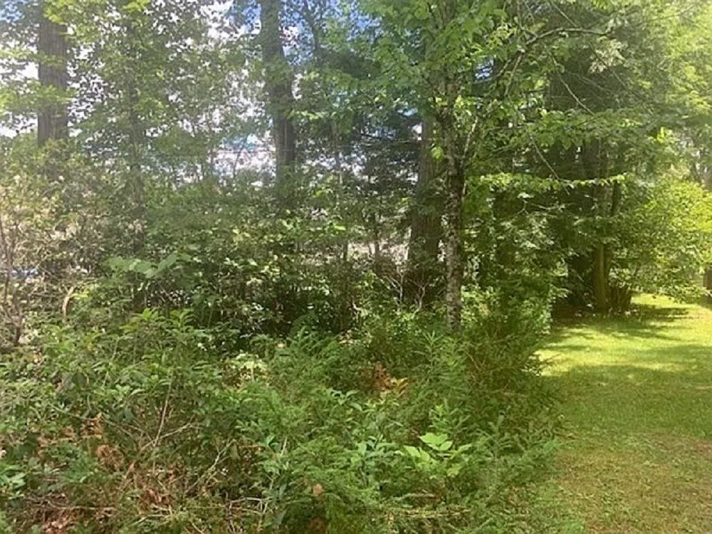 property-image-5