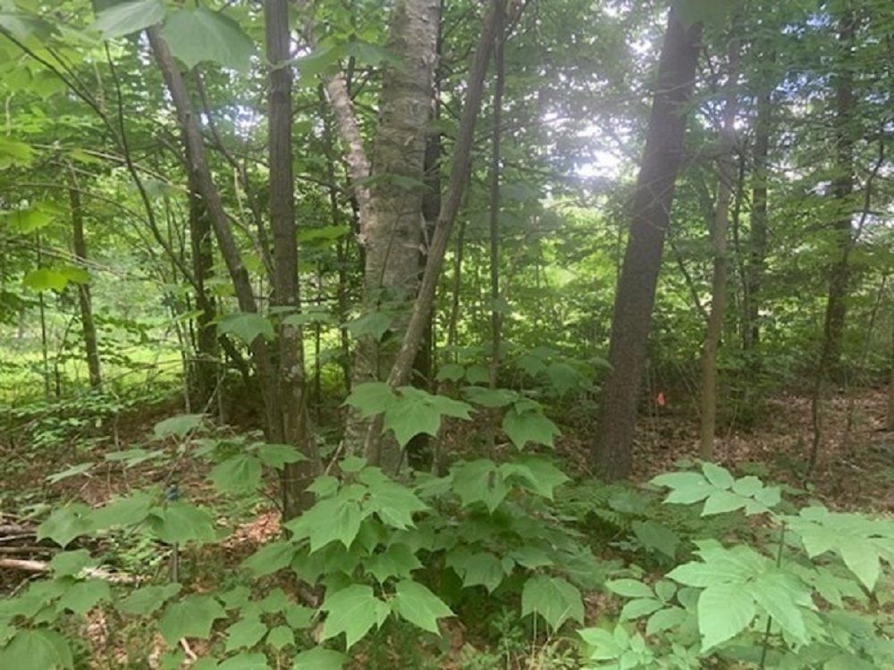 property-image-6