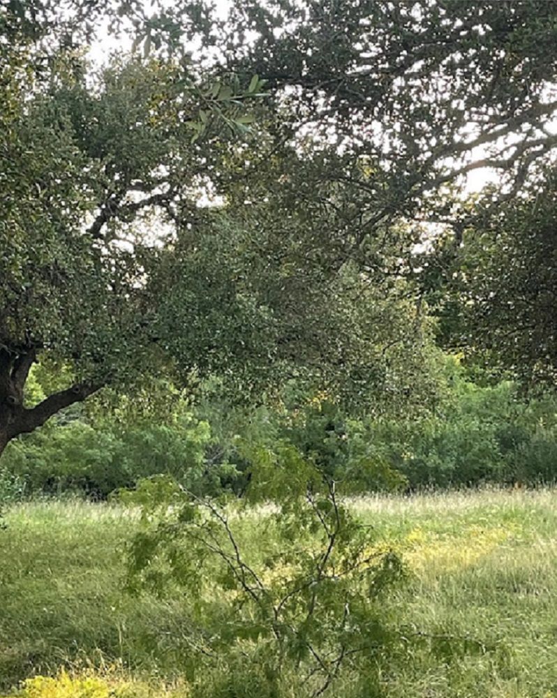 property-image-3