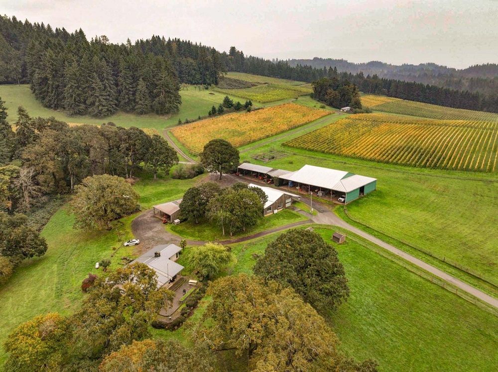 Jubilee Vineyard