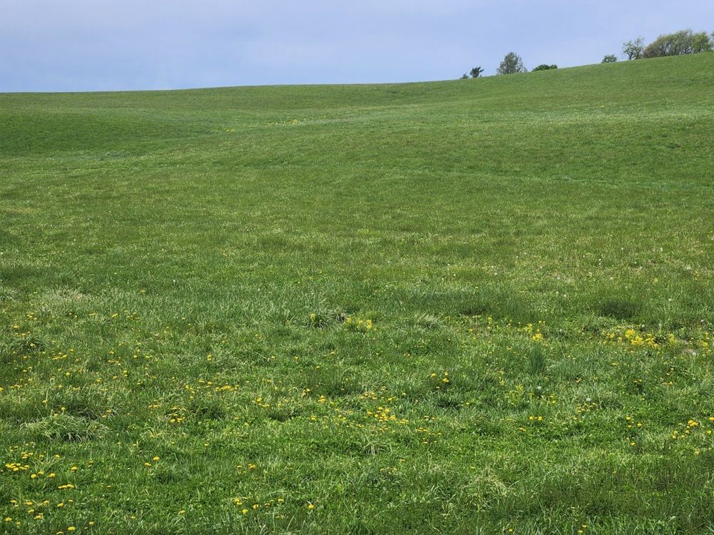 Country Living Near Warwick Ideal For Horses & Farming