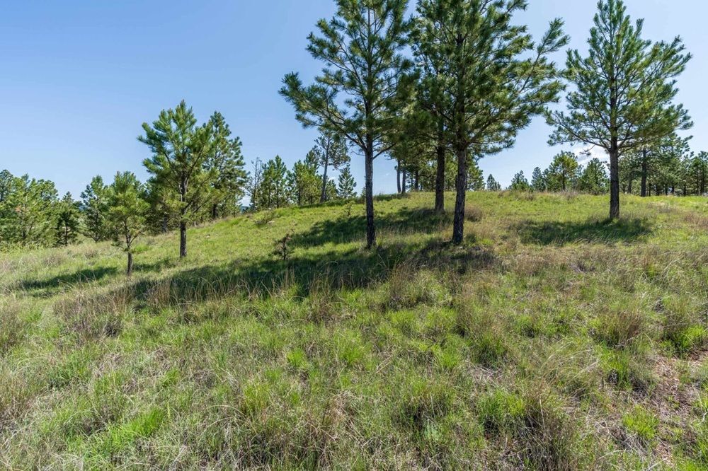 property-image-4
