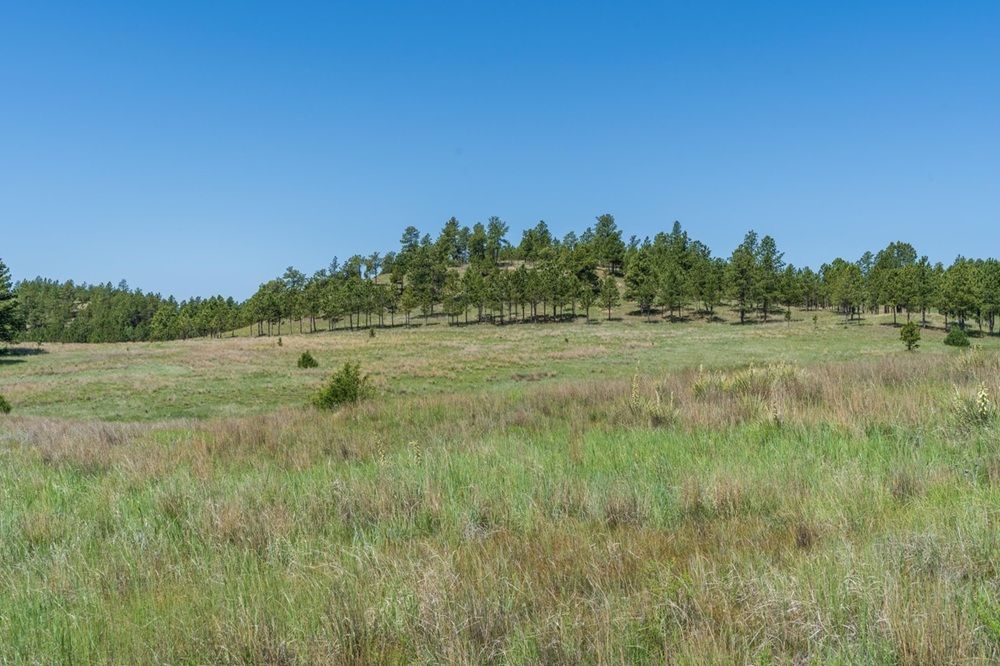 property-image-5