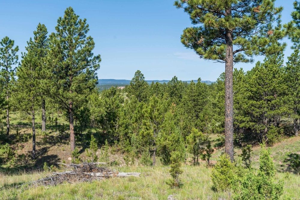 property-image-4