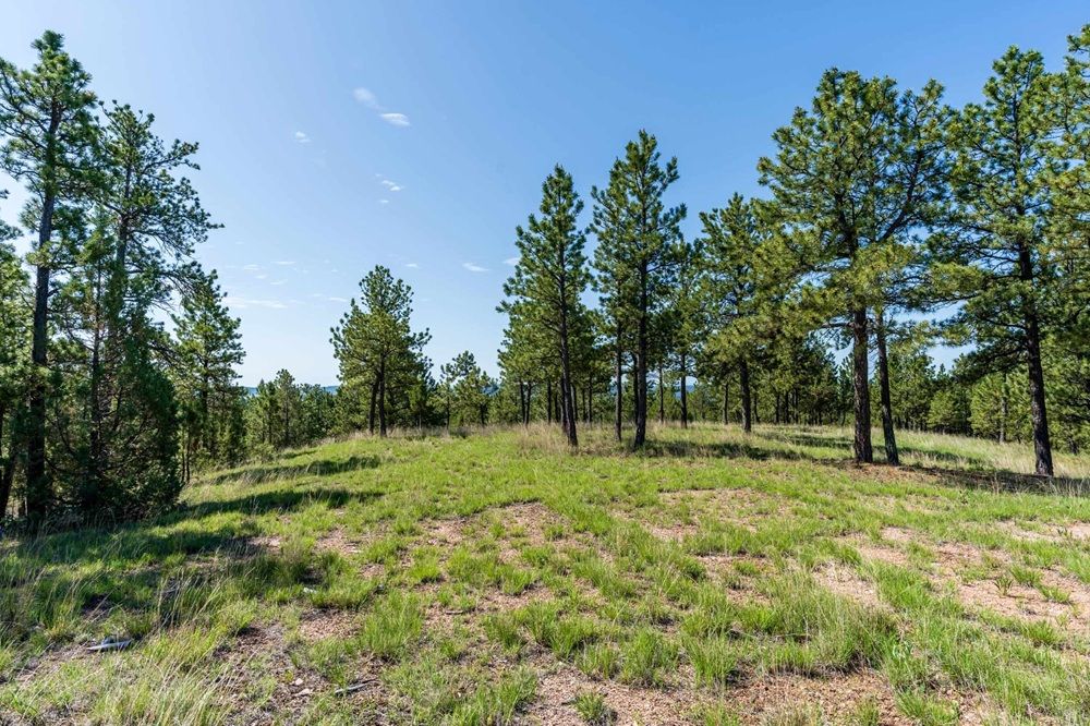 property-image-3