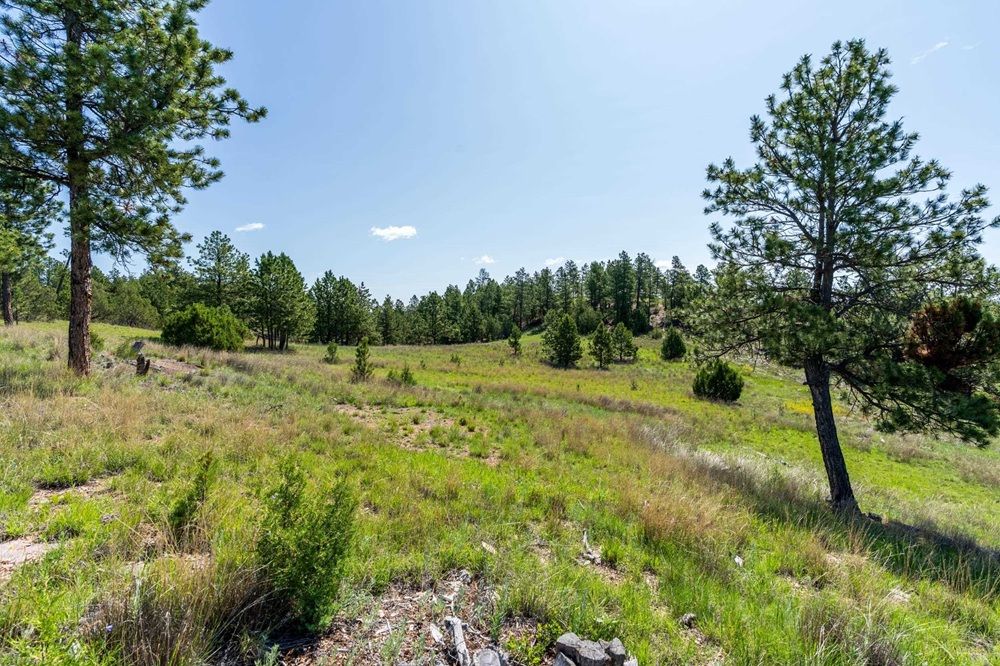 property-image-5