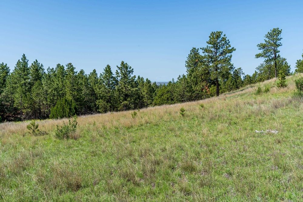 property-image-6