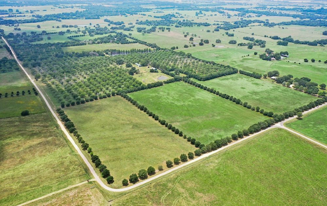 property-image-3