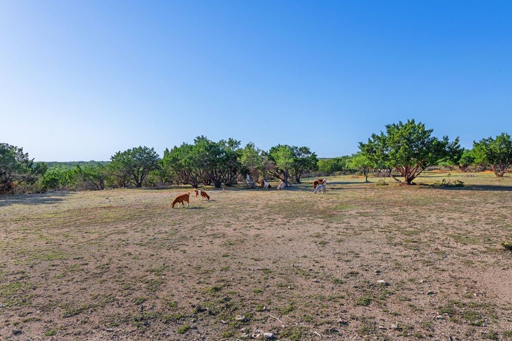 property-image-4