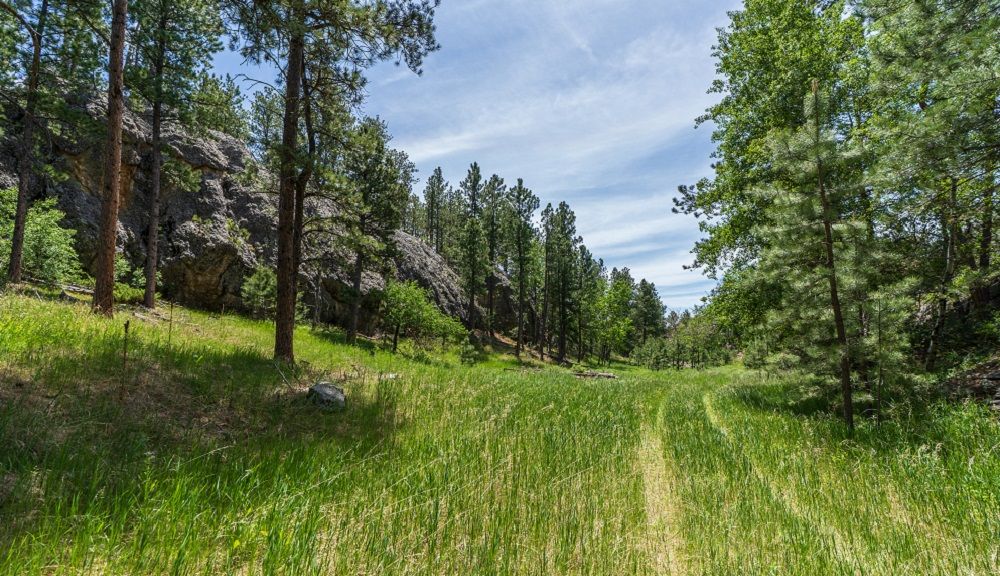 property-image-4