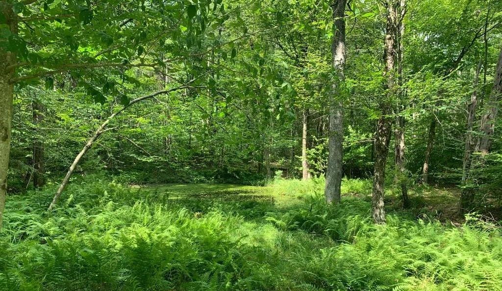 property-image-5