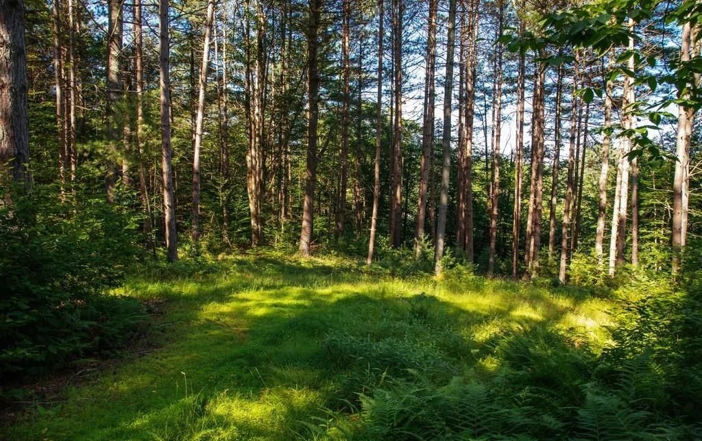 property-image-3