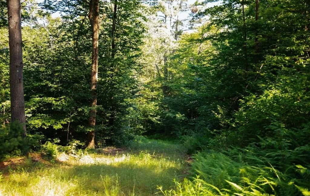 property-image-4