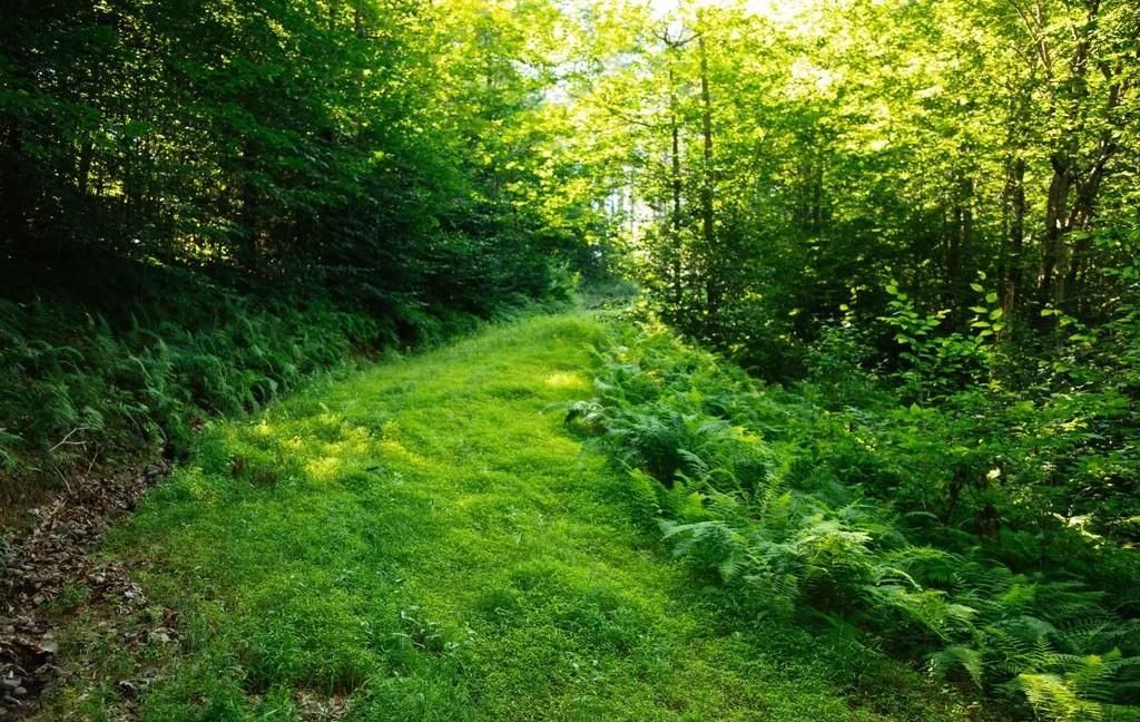 property-image-5
