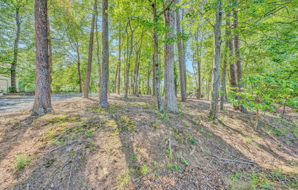 property-image-7