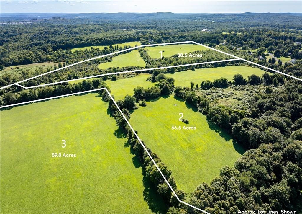 Salem View Farm