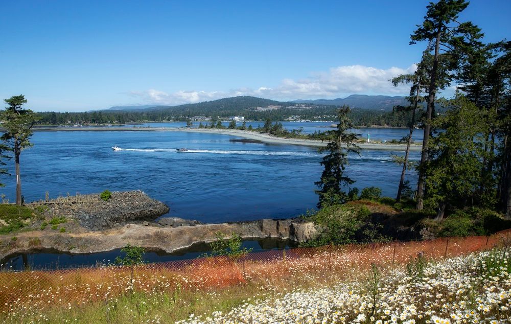 24 Acre Waterfront