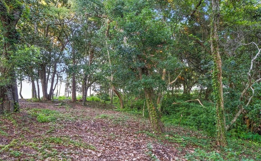 property-image-4