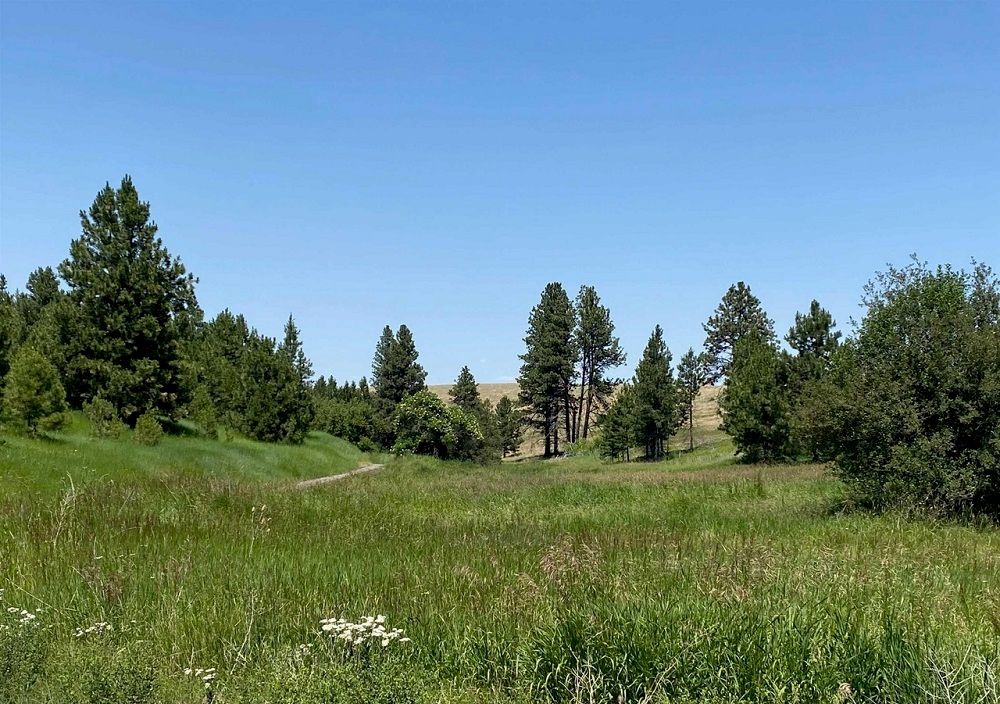 property-image-5